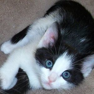 Meet your Posher, Mary